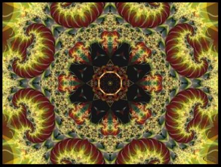 Aquatica Firecat mandala artwok